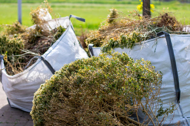 Best Same-Day Junk Removal Services  in Pleasanton, CA